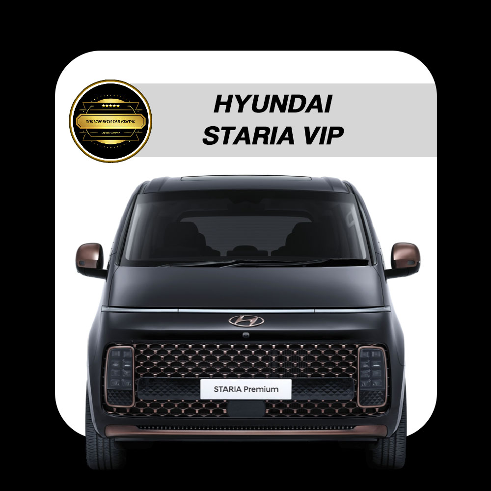 Hyundai STARIA VIP